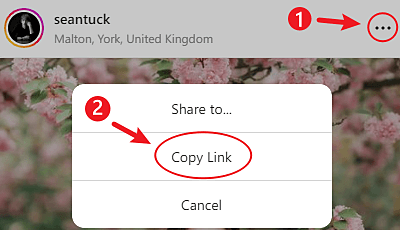 How to find a link on post?